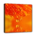 Waterdrops Mini Canvas 8  x 8  (Framed) View1