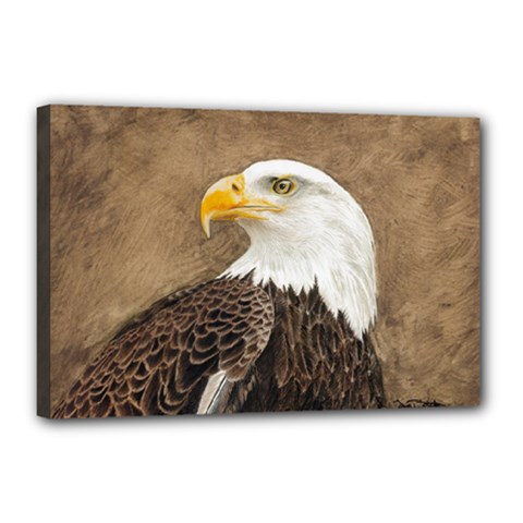 Eagle Canvas 18  X 12  (framed) by TonyaButcher