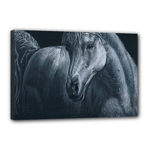 Equine Grace  Canvas 18  X 12  (framed) by TonyaButcher