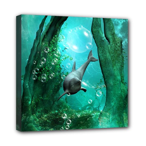 Wonderful Dolphin Mini Canvas 8  X 8  by FantasyWorld7