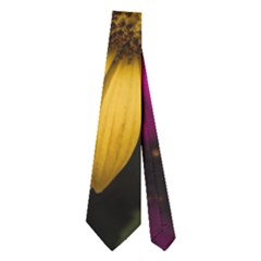 Beautiful Colourful African Daisies  Neckties (two Side)  by OZMedia