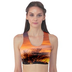 Orange Sunset Sports Bra by trendistuff