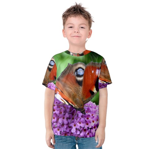 Peacock Butterfly Kid s Cotton Tee by trendistuff