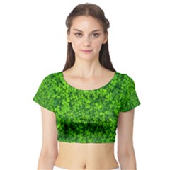 Shamrock Clovers Green Irish St  Patrick Ireland Good Luck Symbol 8000 Sv Short Sleeve Crop Top (tight Fit) by yoursparklingshop