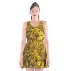 Nature, Yellow Orange Tree Photography Scoop Neck Skater Dress by yoursparklingshop