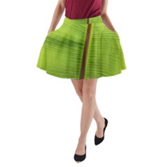 Ensete Leaf A-line Pocket Skirt by picsaspassion