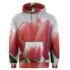 Red Tulips Men s Pullover Hoodie by picsaspassion