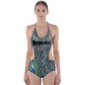 Peacock Four Spot Feather Bird Cut-Out One Piece Swimsuit View1