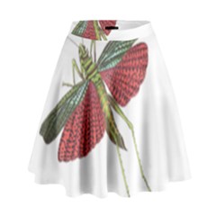 Grasshopper Insect Animal Isolated High Waist Skirt by Nexatart