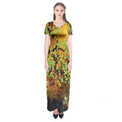 Backdrop Background Tree Abstract Short Sleeve Maxi Dress by Nexatart