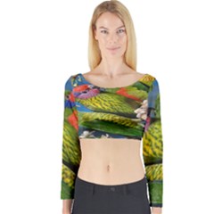 Beautifull Parrots Bird Long Sleeve Crop Top by Nexatart