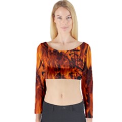 Fire Easter Easter Fire Flame Long Sleeve Crop Top by Nexatart