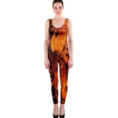 Fire Easter Easter Fire Flame Onepiece Catsuit by Nexatart