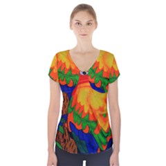 Parakeet Colorful Bird Animal Short Sleeve Front Detail Top by Nexatart