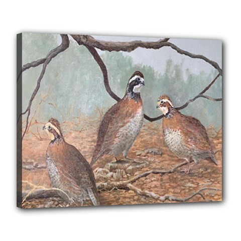 Bob White Quail Canvas 20  X 16  by digitaldivadesigns