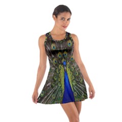 Bird Peacock Display Full Elegant Plumage Cotton Racerback Dress by Amaryn4rt