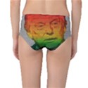 Rainbow Trump  Mid-Waist Bikini Bottoms View2