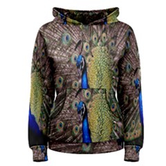 Multi Colored Peacock Women s Pullover Hoodie by Simbadda