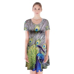 Peacock Bird Feathers Short Sleeve V-neck Flare Dress by Simbadda