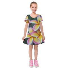 Premier Mix Flower Kids  Short Sleeve Velvet Dress by alohaA