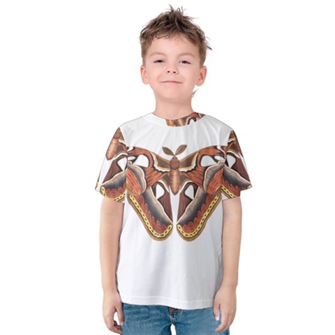 Butterfly Animal Insect Isolated Kids  Cotton Tee by Simbadda