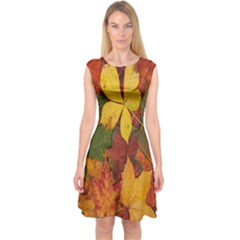 Colorful Autumn Leaves Leaf Background Capsleeve Midi Dress by Amaryn4rt