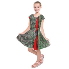 Red Peacock Kids  Short Sleeve Dress by Simbadda