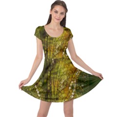 Dragonfly Dragonfly Wing Insect Cap Sleeve Dresses by Nexatart