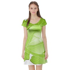 Cabbage Leaf Vegetable Green Short Sleeve Skater Dress by Mariart