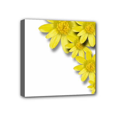 Flowers Spring Yellow Spring Onion Mini Canvas 4  X 4  by Nexatart