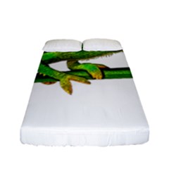 Chameleons Fitted Sheet (full/ Double Size) by Valentinaart