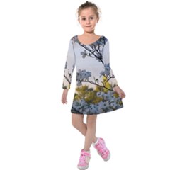 Morning Promise Kids  Long Sleeve Velvet Dress by oddzodd