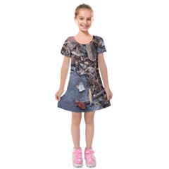 Transition Kids  Short Sleeve Velvet Dress by oddzodd