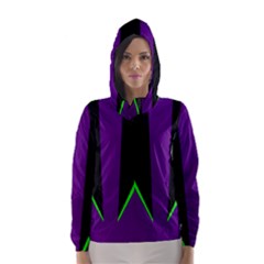 Rays Light Chevron Purple Green Black Line Hooded Wind Breaker (women) by Mariart