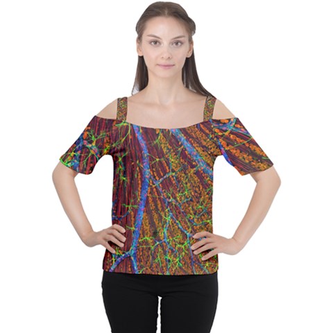 Neurobiology Cutout Shoulder Tee by BangZart