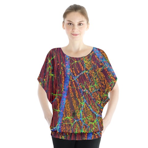 Neurobiology Blouse by BangZart