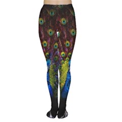 Beautiful Peacock Feather Women s Tights by BangZart