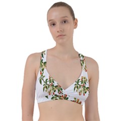 Apple Branch Deciduous Fruit Sweetheart Sports Bra by Nexatart