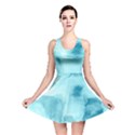 Ombre Reversible Skater Dress View1