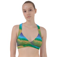 Ombre Sweetheart Sports Bra by ValentinaDesign