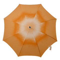 Ombre Hook Handle Umbrellas (small) by ValentinaDesign