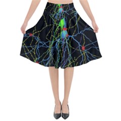 Synaptic Connections Between Pyramida Neurons And Gabaergic Interneurons Were Labeled Biotin During Flared Midi Skirt by Mariart