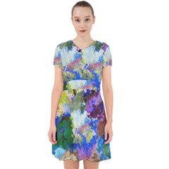 Color Mix Canvas                             Adorable In Chiffon Dress by LalyLauraFLM