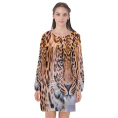 Tiger Beetle Lion Tiger Animals Leopard Long Sleeve Chiffon Shift Dress  by Mariart