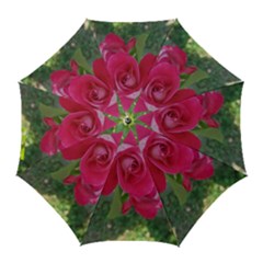 Romantic Red Rose Photography Golf Umbrellas by yoursparklingshop