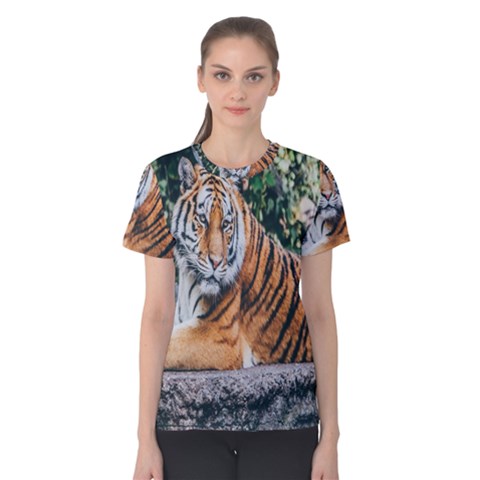 Animal Big Cat Safari Tiger Women s Cotton Tee by Celenk