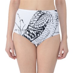 Animal Bird Forest Nature Owl High-waist Bikini Bottoms by Celenk