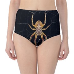 Insect Macro Spider Colombia High-waist Bikini Bottoms by BangZart