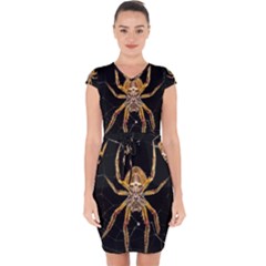 Insect Macro Spider Colombia Capsleeve Drawstring Dress  by BangZart