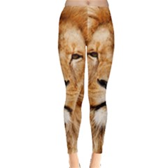 Africa African Animal Cat Close Up Leggings  by BangZart